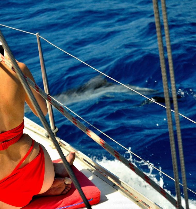 Tailor-Made & Theme Cruise